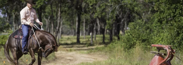 helping a horse that is spooked on the trail
